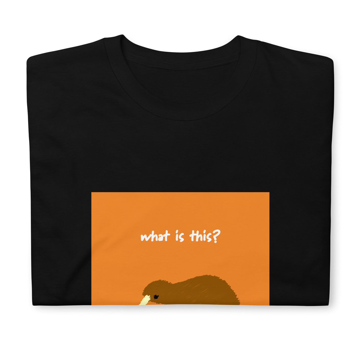 【送料無料】What is this? オレンジ｜Ｔシャツ（ホワイト・ブラック）