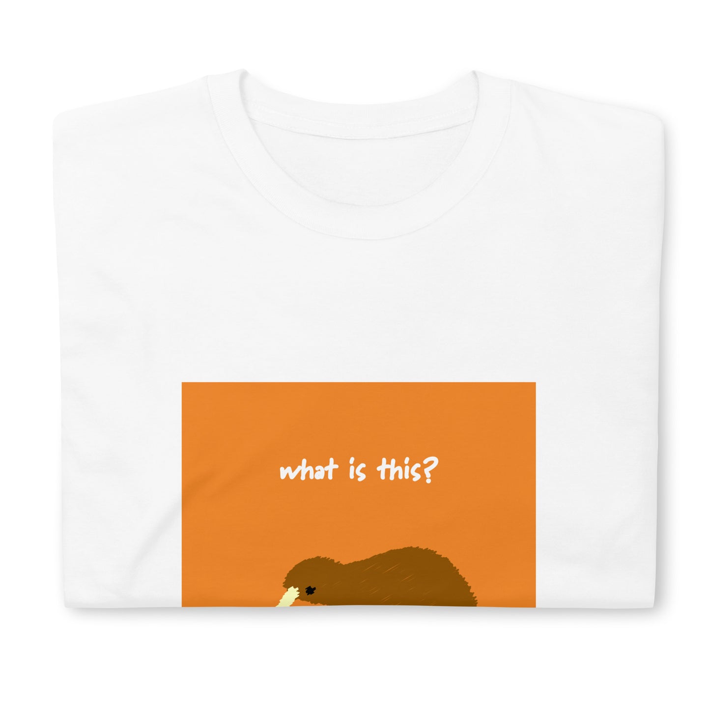 【送料無料】What is this? オレンジ｜Ｔシャツ（ホワイト・ブラック）